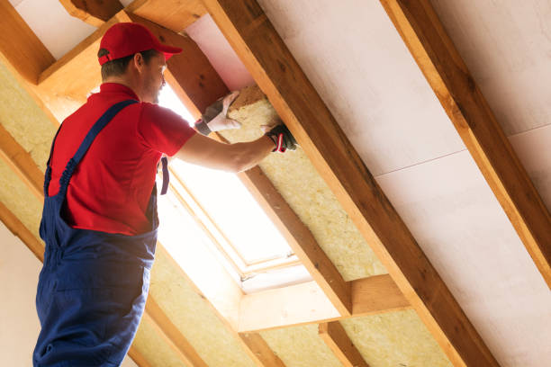 Best Eco-Friendly or Green Insulation Solutions  in North Springfield, VA